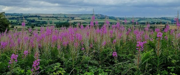 A view of B&NES countryside